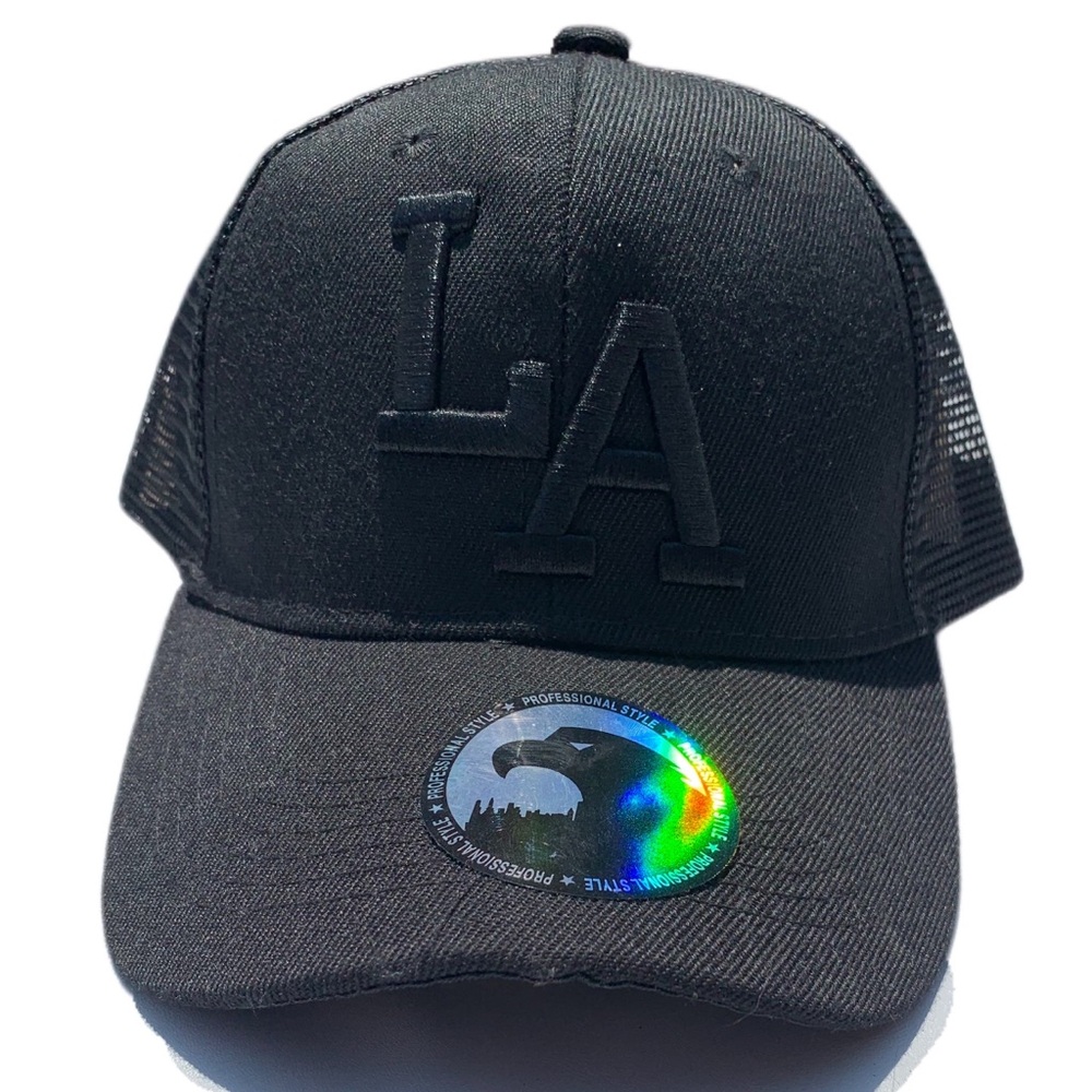 Los Angeles embroidered all black snap back hat
